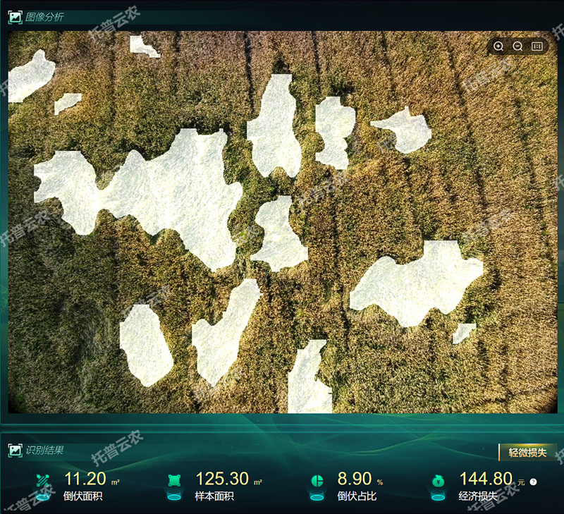 【原圖】多光譜遙感植物表型分析系統1.png