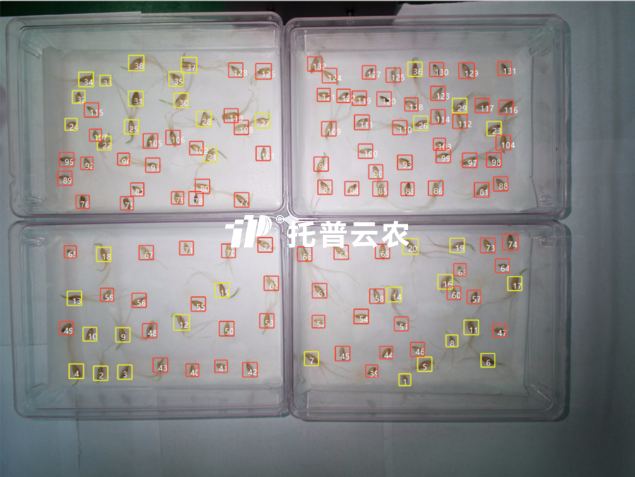 發芽率識別-高通量植物環境調控+高通量種子智能萌發鑒定系統.png