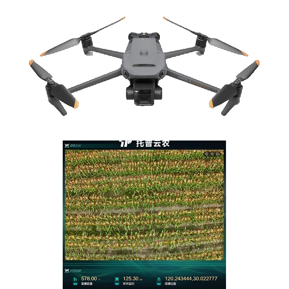 無人機玉米表型生長監測系統