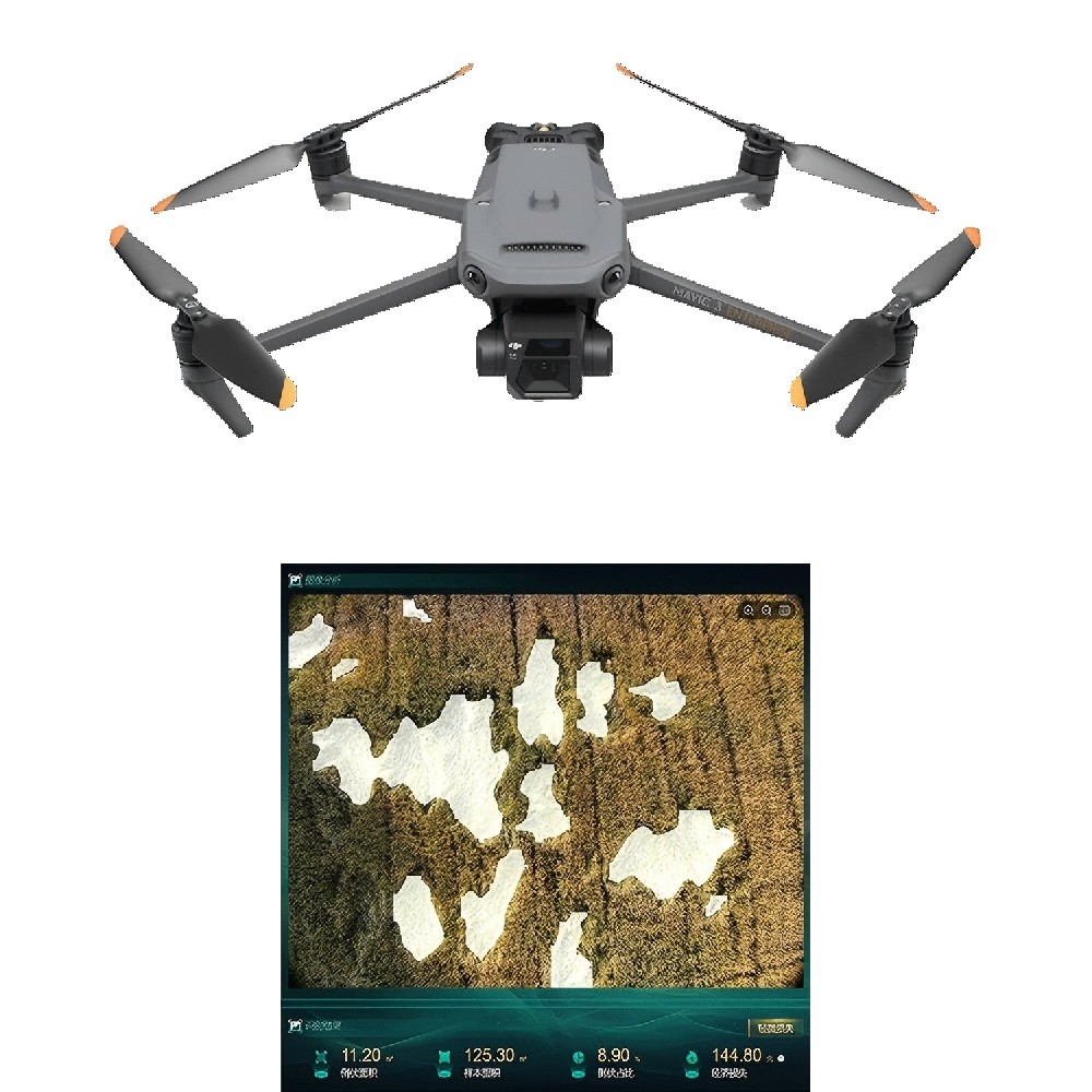 無人機低空遙感植物表型分析系統