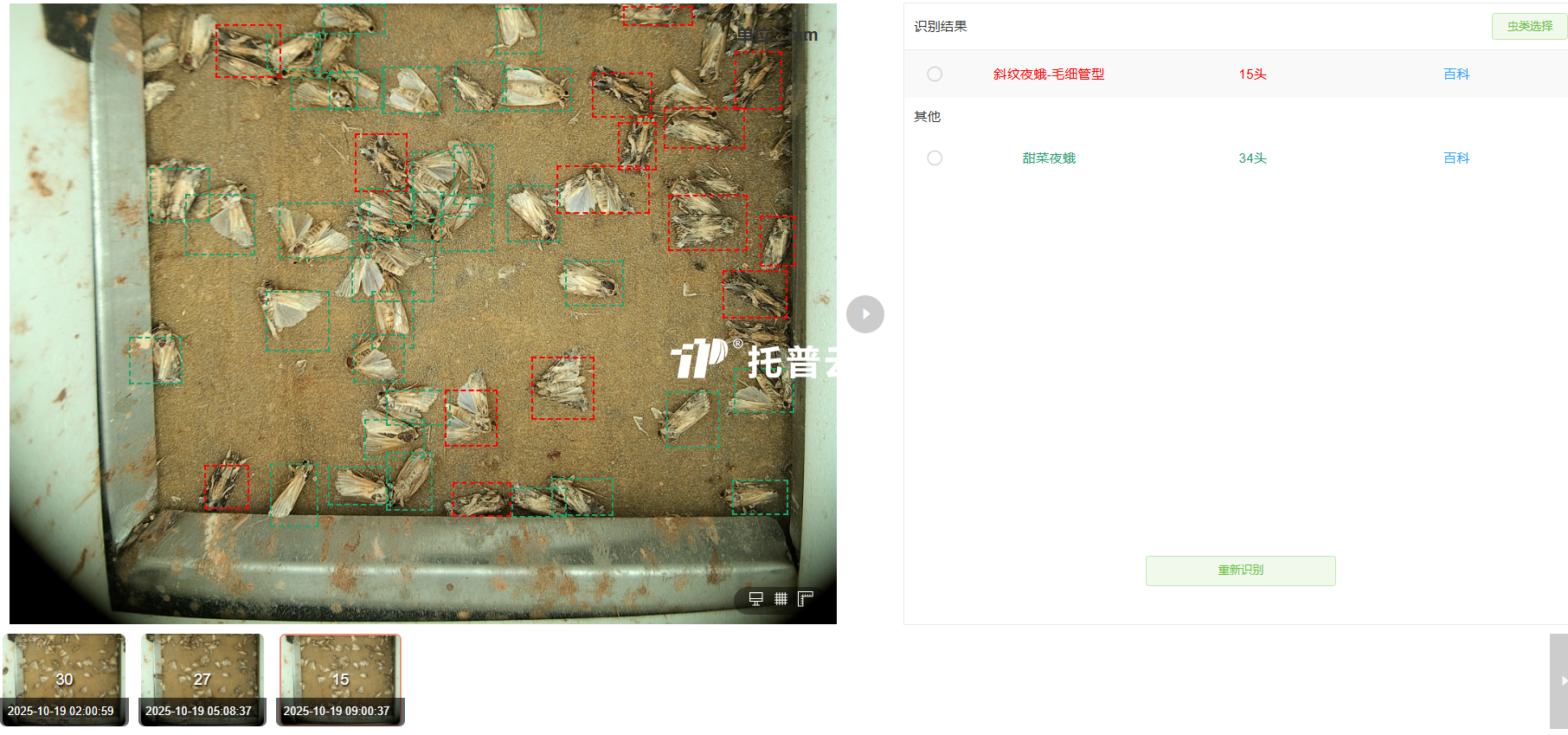 智能識別計數.png